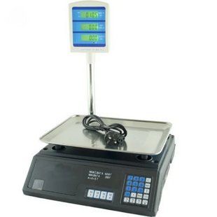 Ваги ACS 50kg/5g + pole 308 Domotec | Торгові ваги Домотек 00500 фото