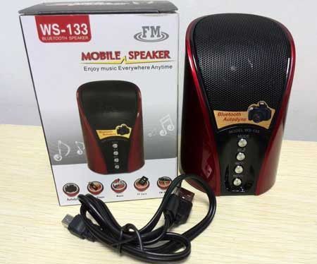 Портативна колонка SPS WS 133 BT з bluetooth, mp3 плеєром і радіо 02404 фото