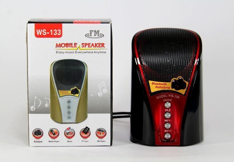 Портативна колонка SPS WS 133 BT з bluetooth, mp3 плеєром і радіо 02404 фото